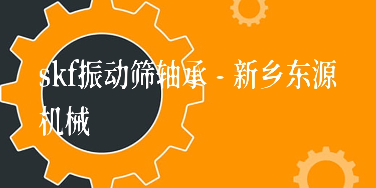 skf振動(dòng)篩軸承 - 新鄉(xiāng)東源機(jī)械