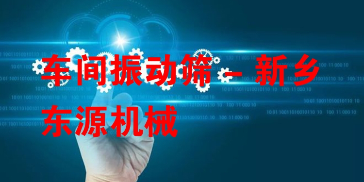 車(chē)間振動(dòng)篩 - 新鄉(xiāng)東源機(jī)械