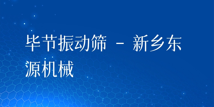 畢節(jié)振動篩 - 新鄉(xiāng)東源機械