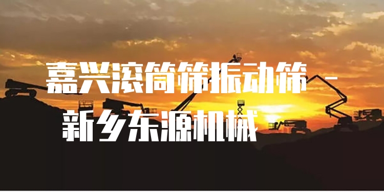 嘉興滾筒篩振動篩 - 新鄉(xiāng)東源機械