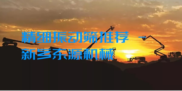 精細(xì)振動(dòng)篩推薦 - 新鄉(xiāng)東源機(jī)械