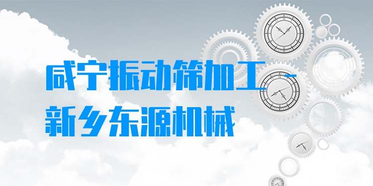 咸寧振動(dòng)篩加工 - 新鄉(xiāng)東源機(jī)械