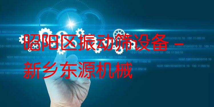 昭陽區(qū)振動篩設(shè)備 - 新鄉(xiāng)東源機械