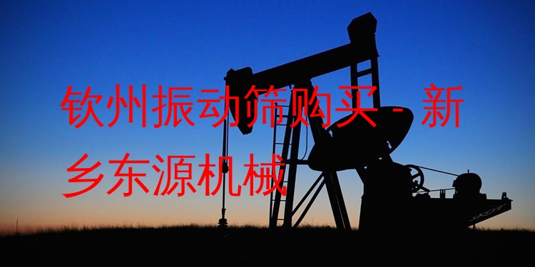 欽州振動(dòng)篩購(gòu)買 - 新鄉(xiāng)東源機(jī)械