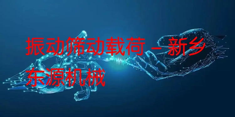 振動(dòng)篩動(dòng)載荷 - 新鄉(xiāng)東源機(jī)械