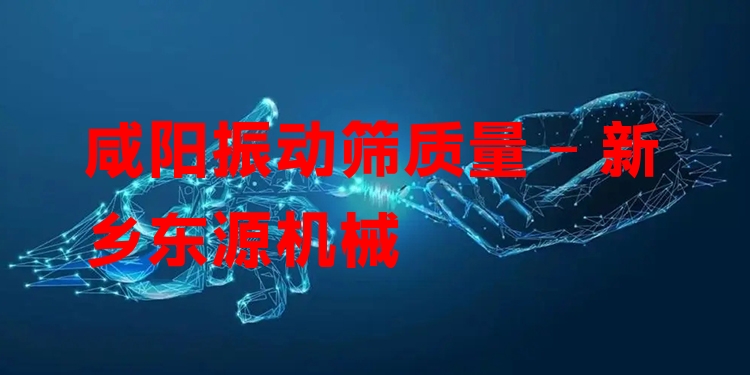 咸陽振動篩質(zhì)量 - 新鄉(xiāng)東源機(jī)械
