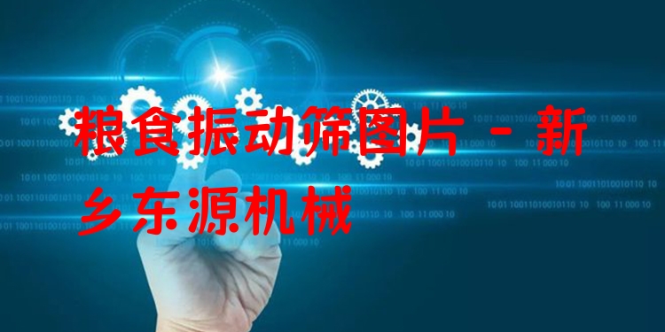 糧食振動篩圖片 - 新鄉(xiāng)東源機械