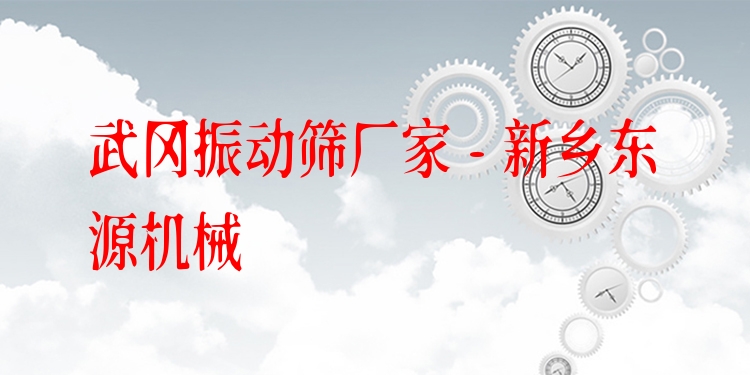 武岡振動(dòng)篩廠家 - 新鄉(xiāng)東源機(jī)械