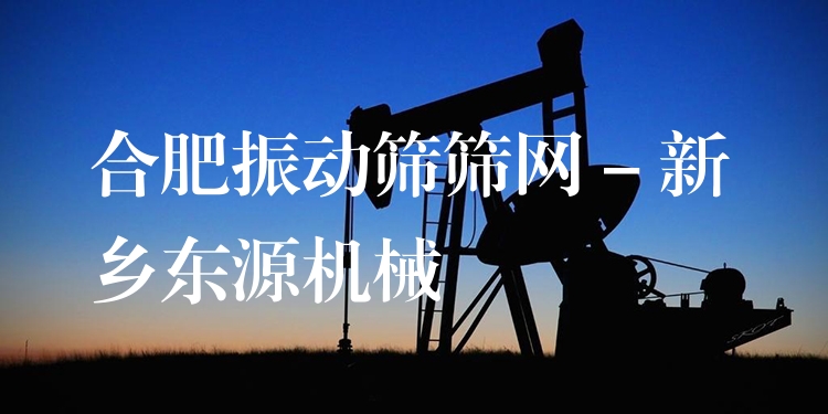 合肥振動(dòng)篩篩網(wǎng) - 新鄉(xiāng)東源機(jī)械