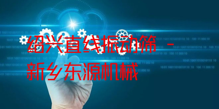 紹興直線振動(dòng)篩 - 新鄉(xiāng)東源機(jī)械
