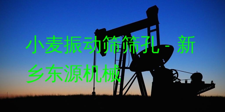 小麥振動篩篩孔 - 新鄉(xiāng)東源機(jī)械