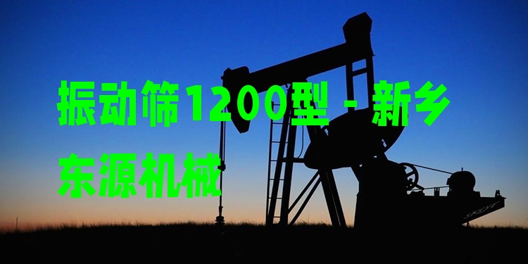 振動篩1200型 - 新鄉(xiāng)東源機械