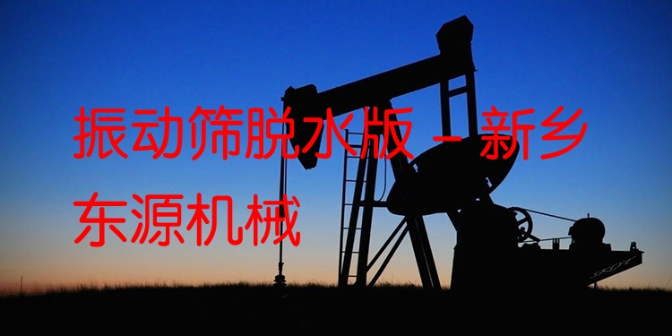 振動篩脫水版 - 新鄉(xiāng)東源機械