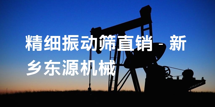 精細(xì)振動(dòng)篩直銷 - 新鄉(xiāng)東源機(jī)械