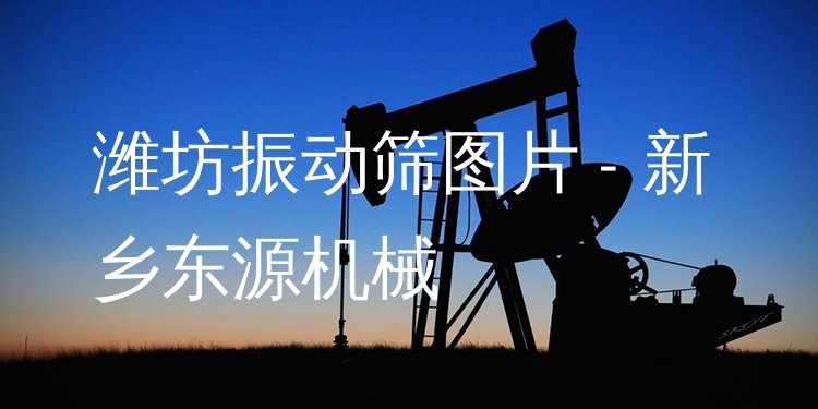 濰坊振動篩圖片 - 新鄉(xiāng)東源機械