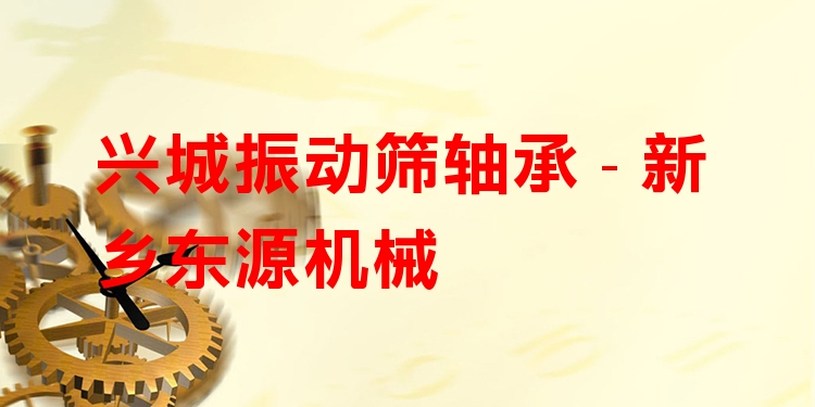 興城振動篩軸承 - 新鄉(xiāng)東源機械