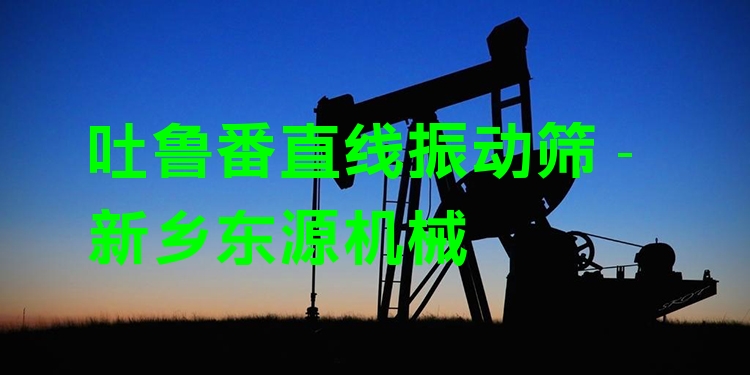 吐魯番直線振動(dòng)篩 - 新鄉(xiāng)東源機(jī)械