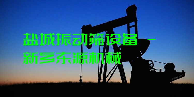鹽城振動(dòng)篩設(shè)備 - 新鄉(xiāng)東源機(jī)械