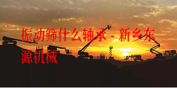 振動篩什么軸承 - 新鄉(xiāng)東源機械
