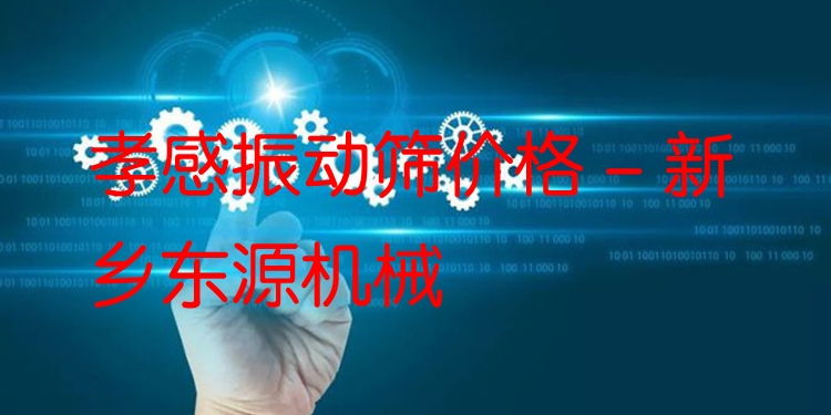 孝感振動篩價格 - 新鄉(xiāng)東源機械