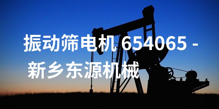 振動篩電機 654065 - 新鄉(xiāng)東源機械