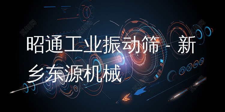 昭通工業(yè)振動(dòng)篩 - 新鄉(xiāng)東源機(jī)械