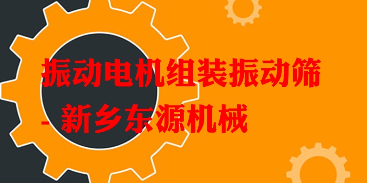 振動(dòng)電機(jī)組裝振動(dòng)篩 - 新鄉(xiāng)東源機(jī)械