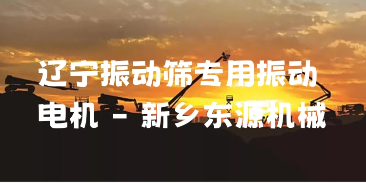 遼寧振動篩專用振動電機(jī) - 新鄉(xiāng)東源機(jī)械