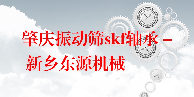 肇慶振動篩skf軸承 - 新鄉(xiāng)東源機(jī)械