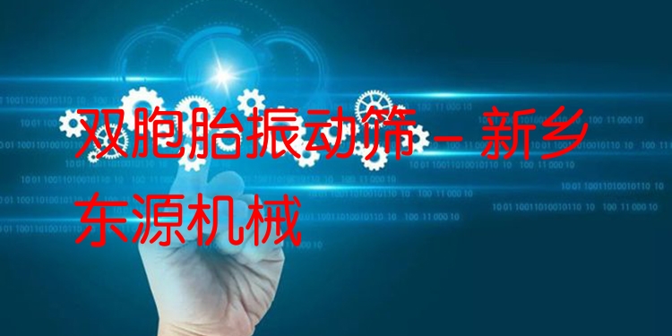 雙胞胎振動(dòng)篩 - 新鄉(xiāng)東源機(jī)械