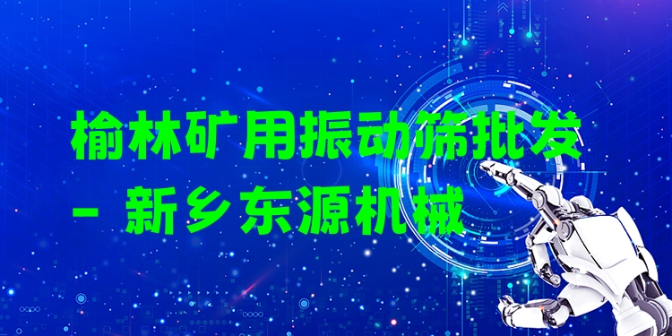 榆林礦用振動(dòng)篩批發(fā) - 新鄉(xiāng)東源機(jī)械
