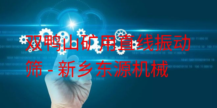 雙鴨山礦用直線振動(dòng)篩 - 新鄉(xiāng)東源機(jī)械