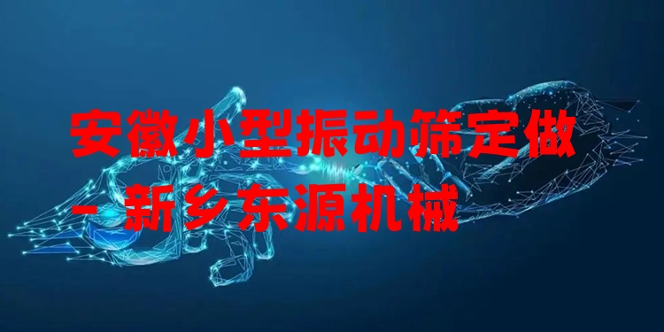 安徽小型振動(dòng)篩定做 - 新鄉(xiāng)東源機(jī)械