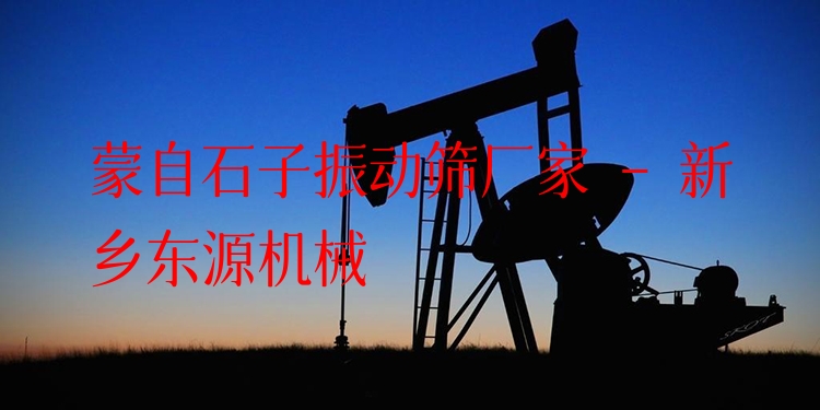 蒙自石子振動篩廠家 - 新鄉(xiāng)東源機(jī)械