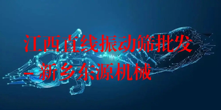 江西直線振動(dòng)篩批發(fā) - 新鄉(xiāng)東源機(jī)械