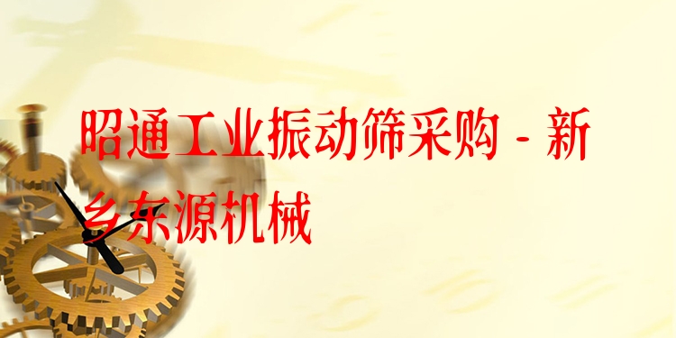昭通工業(yè)振動篩采購 - 新鄉(xiāng)東源機械