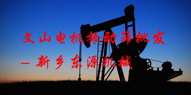 文山電機(jī)振動篩批發(fā) - 新鄉(xiāng)東源機(jī)械