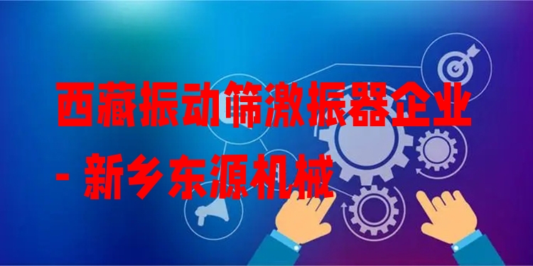 西藏振動(dòng)篩激振器企業(yè) - 新鄉(xiāng)東源機(jī)械