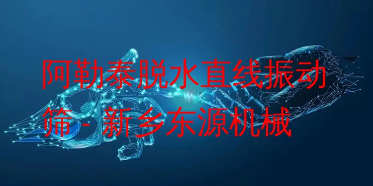 阿勒泰脫水直線振動(dòng)篩 - 新鄉(xiāng)東源機(jī)械