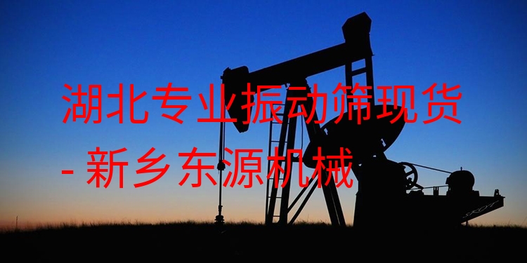 湖北***振動篩現(xiàn)貨 - 新鄉(xiāng)東源機械