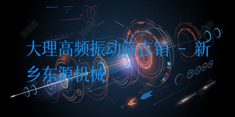 大理高頻振動(dòng)篩直銷 - 新鄉(xiāng)東源機(jī)械