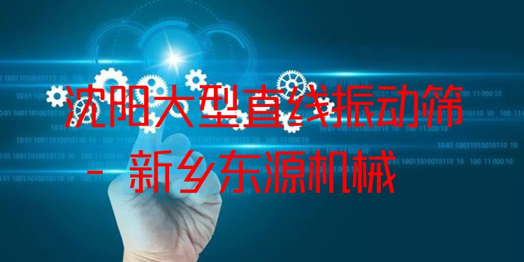 沈陽大型直線振動篩 - 新鄉(xiāng)東源機(jī)械