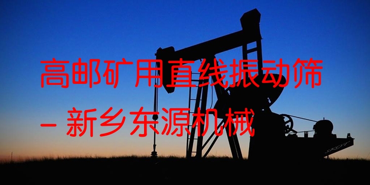 高郵礦用直線振動篩 - 新鄉(xiāng)東源機(jī)械