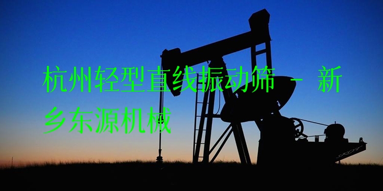 杭州輕型直線振動篩 - 新鄉(xiāng)東源機(jī)械
