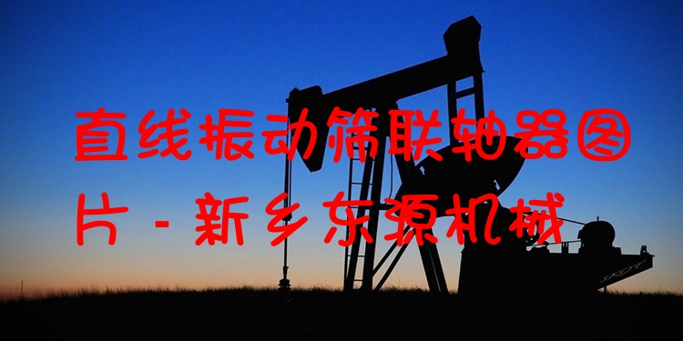 直線振動(dòng)篩聯(lián)軸器圖片 - 新鄉(xiāng)東源機(jī)械