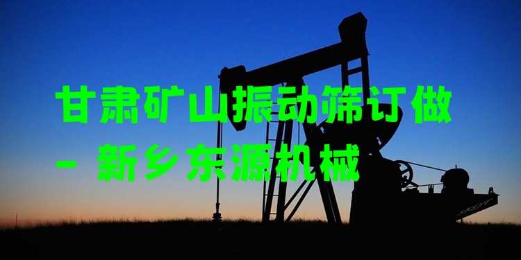 甘肅礦山振動篩訂做 - 新鄉(xiāng)東源機械