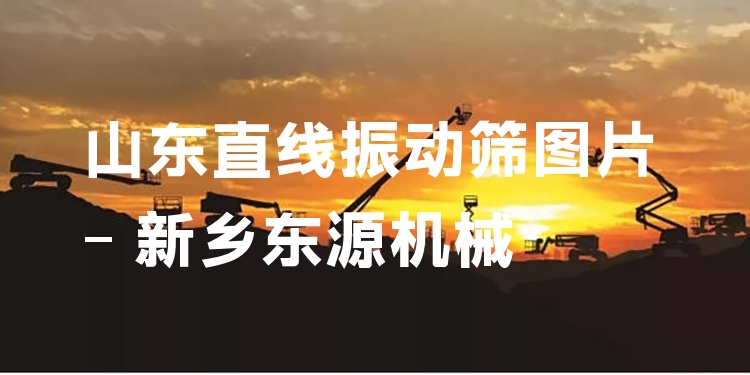 山東直線振動篩圖片 - 新鄉(xiāng)東源機(jī)械