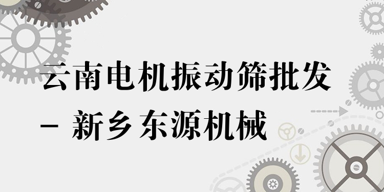 云南電機(jī)振動(dòng)篩批發(fā) - 新鄉(xiāng)東源機(jī)械