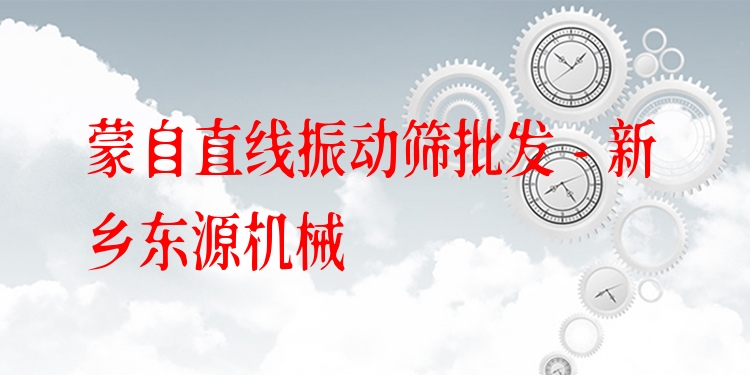 蒙自直線振動篩批發(fā) - 新鄉(xiāng)東源機(jī)械