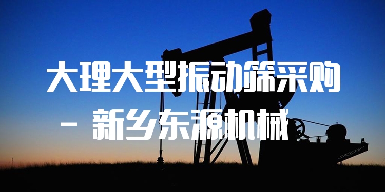 大理大型振動(dòng)篩采購(gòu) - 新鄉(xiāng)東源機(jī)械